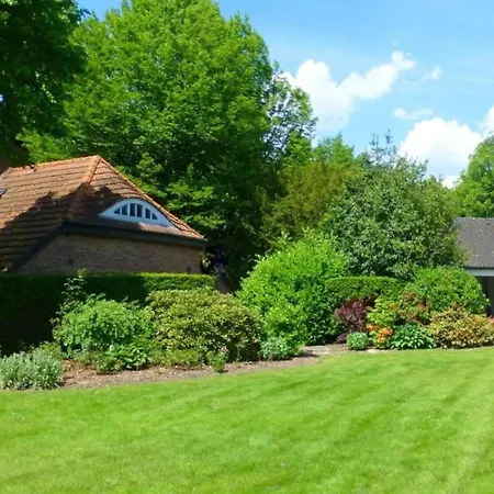 Garden View Comfortable *